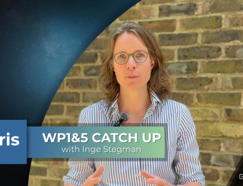 Catch Up with the OSIRIS WP1 & WP5 Lead: Project Coordinator Inge Stegeman on Building the Foundations for Lasting Impact